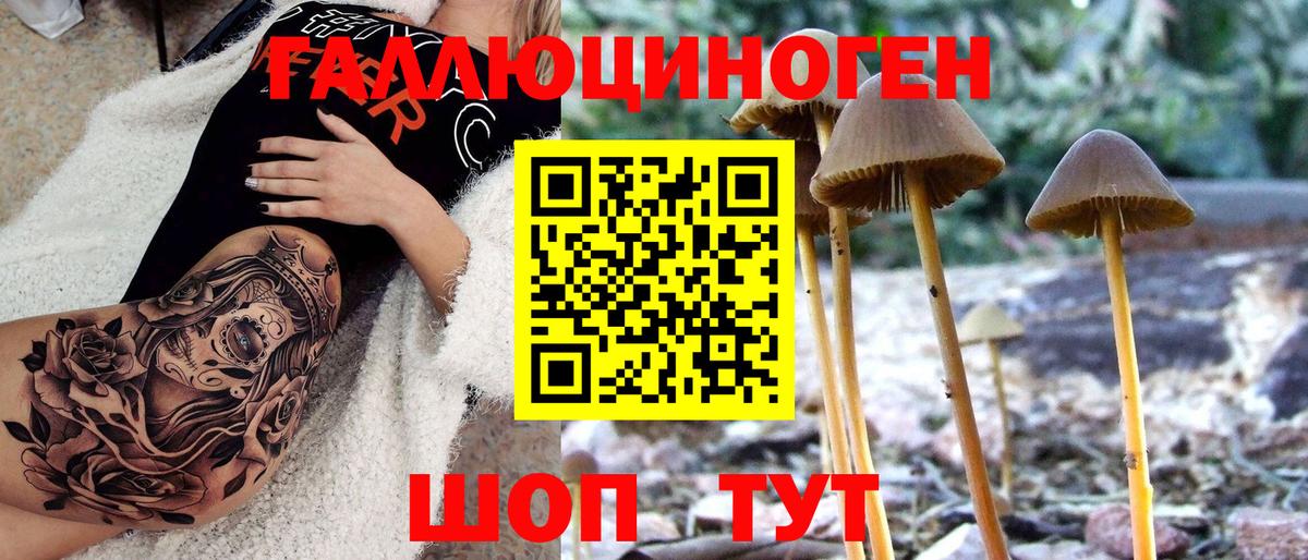 Пыть-Ях  Псилоцибиновые грибы Psilocybe  Вход с VPN 